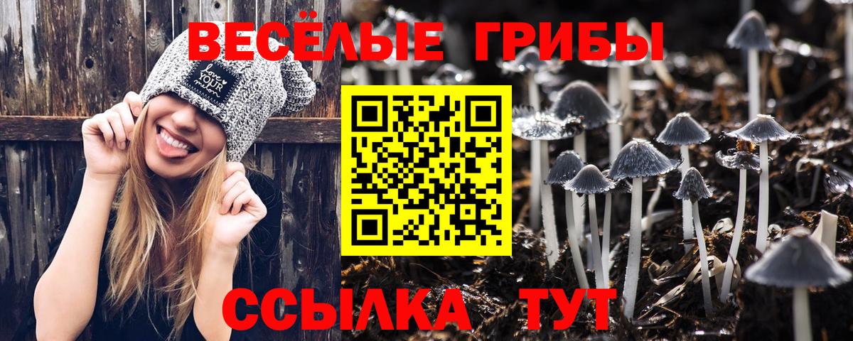 Шахты  купить  сайты  Вход с VPN  Псилоцибиновые грибы ЛСД  Галлюциногенные грибы Psilocybine cubensis 